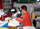 Mostra Micologica Senese