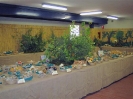 Mostra Micologica Senese