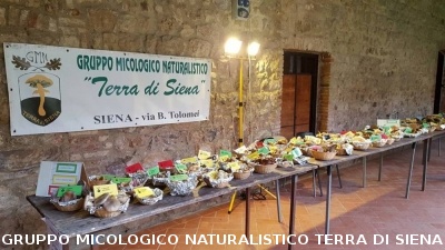 Mostra Micologica a Monticiano