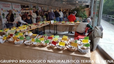Mostra Micologica alla COOP