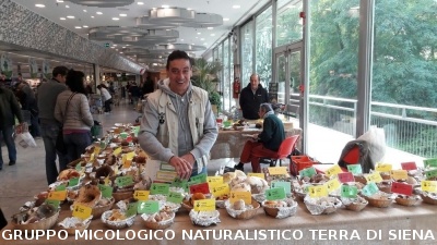 Mostra Micologica alla COOP