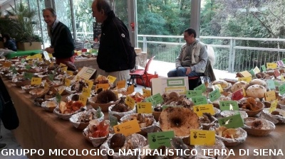 Mostra Micologica alla COOP