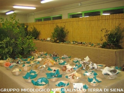 Mostra Micologica Senese