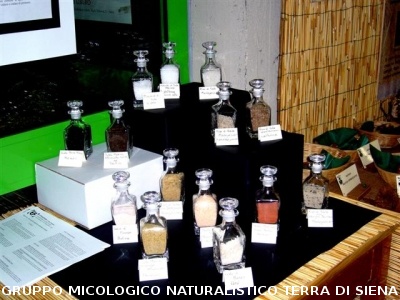 Mostra Micologica Senese