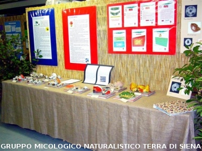 Mostra Micologica Senese