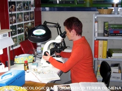 Mostra Micologica Senese