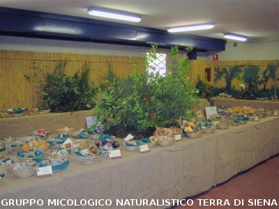 Mostra Micologica Senese