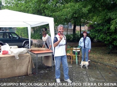 Mostra delle erbe spontanee