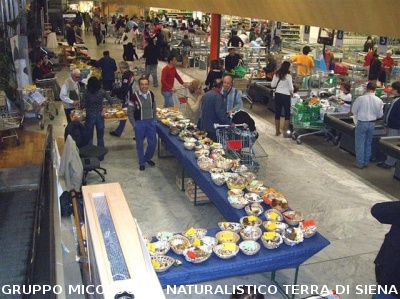 Mostra Micologica presso il Supermercato UNICOOP