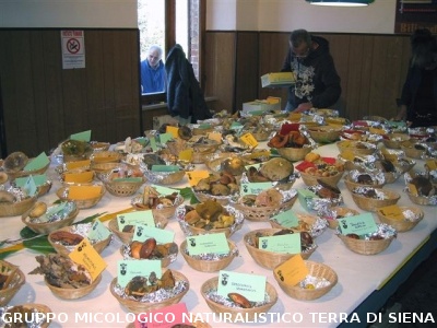 Mostra Micologica a Ancaiano