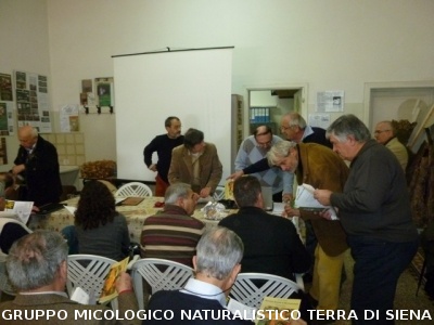 Riunione AGMT a Follonica